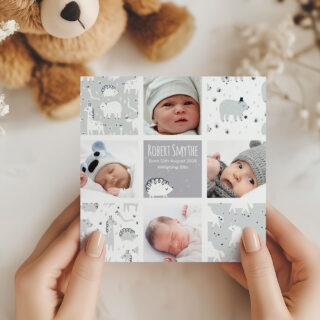 Animal Dreams – Boy