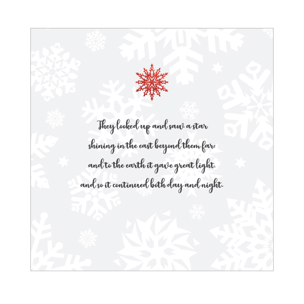 Glitter Flakes - Family - Image 4