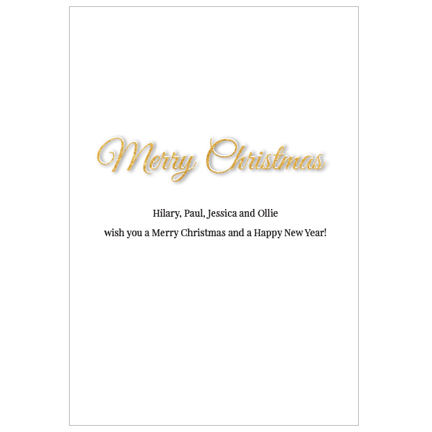 Family Christmas (P) - Image 5